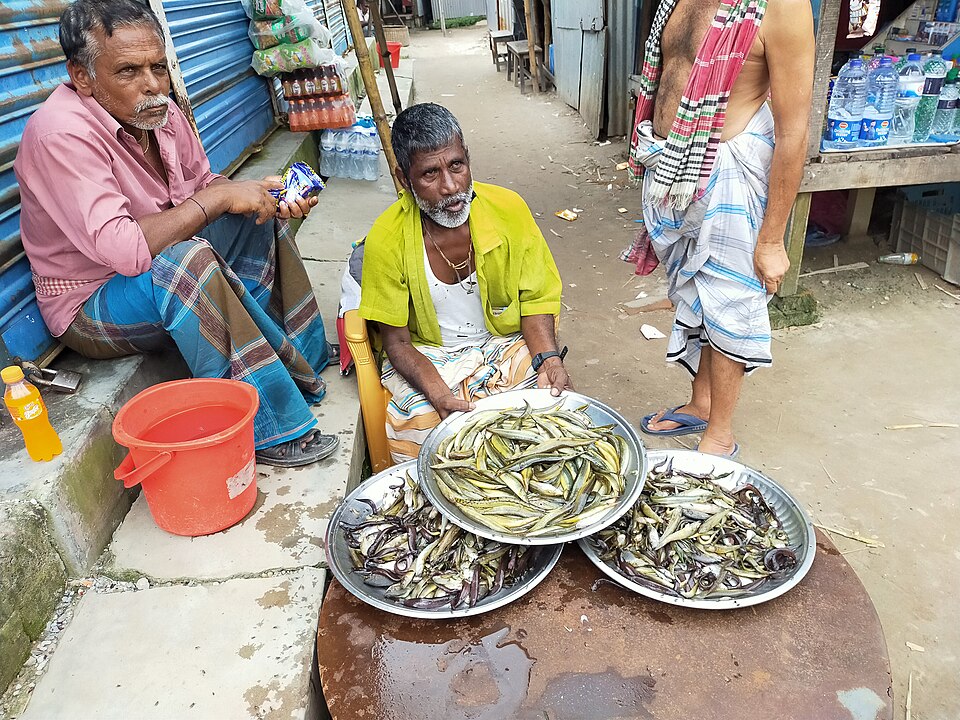 deshi-mach-bangladesh দেশি মাছ